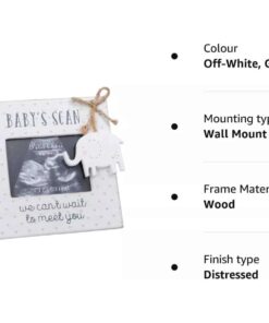 CG1723 baby scan frame bullets