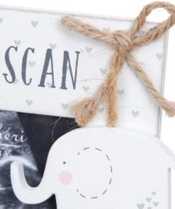 CG1723 baby scan frame tag