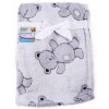 FS718 teddy baby blanket