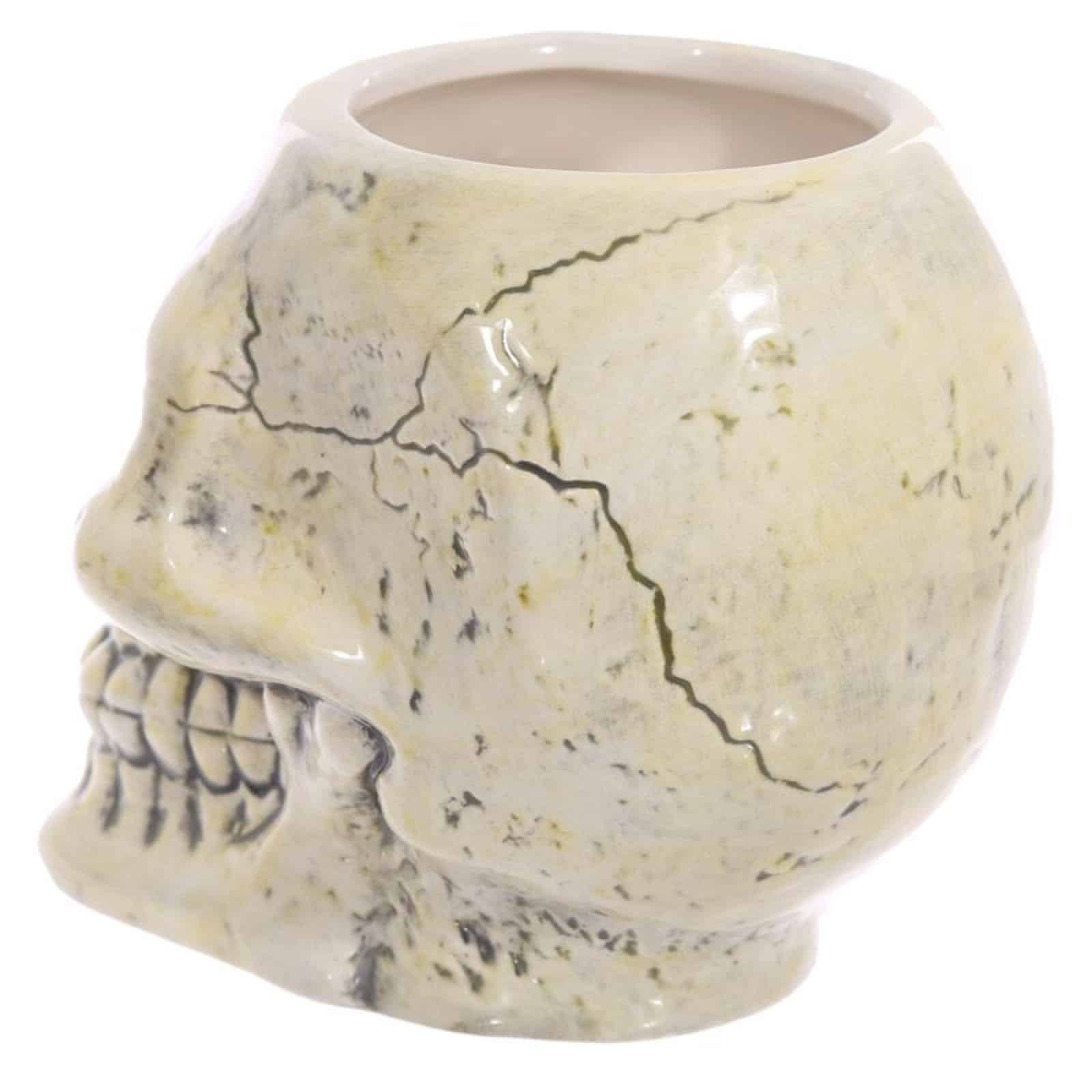 Ancient Skull Head Shaped Mug - Image 3