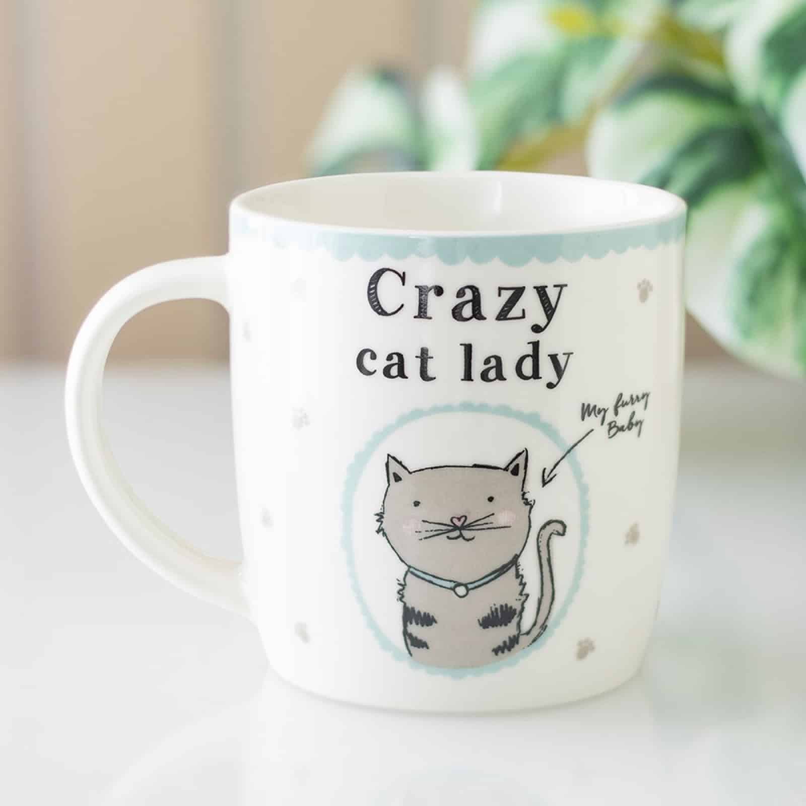 Crazy Cat Lady Bone China Mug - Image 4