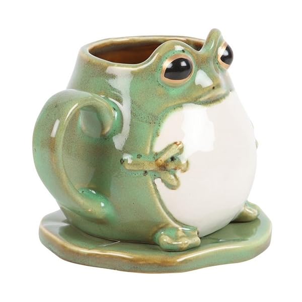 Quirky Frog Shaped Mug and Lily Pad Coaster Set - Image 5